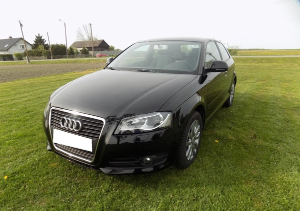 Audi A3 cena 20900 przebieg: 154000, rok produkcji 2009 z Szprotawa małe 497